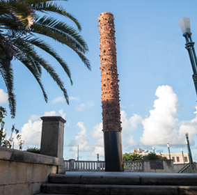 Festival Cine San Juan